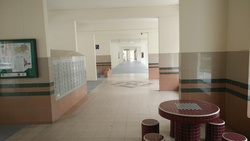Blk 876 Tampines Street 84 (Tampines), HDB 4 Rooms #217973791